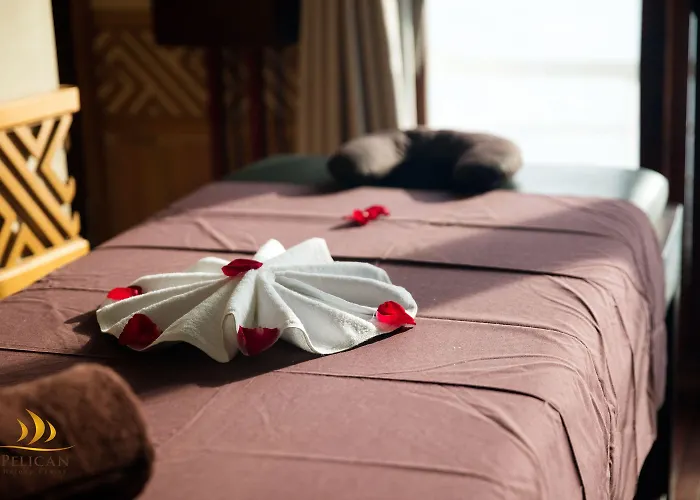 Pelican Cruise 4*